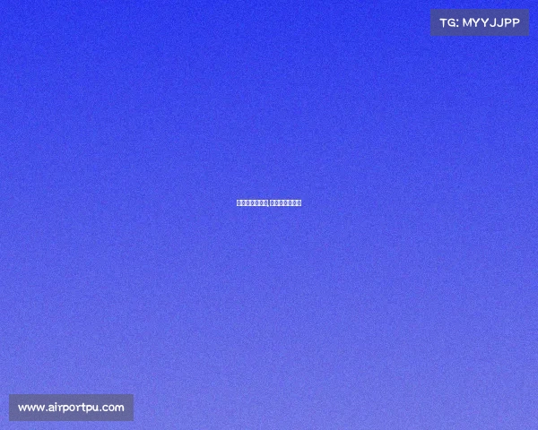 山东队赛事直播,山东队比赛日程