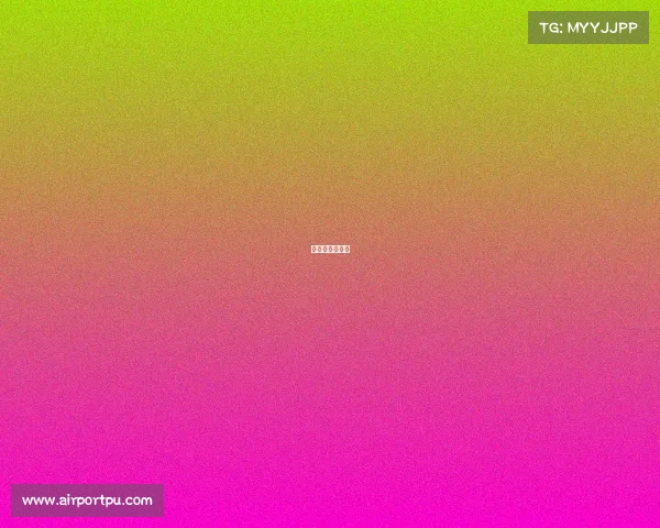 申花队内对抗赛